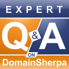 EXPERT Q&A: The First Big Domain Sale