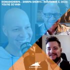 DomainSherpa – Sherpa Shorts – November 2, 2023: You’re So Vain