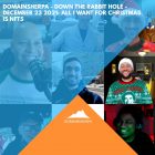 DomainSherpa – Down The Rabbit Hole – December 23, 2021: All I Want For Christmas is NFTs